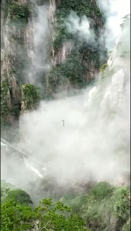 禹州市公共资源交易中心以“六化”标准化推动营商环境持续优化